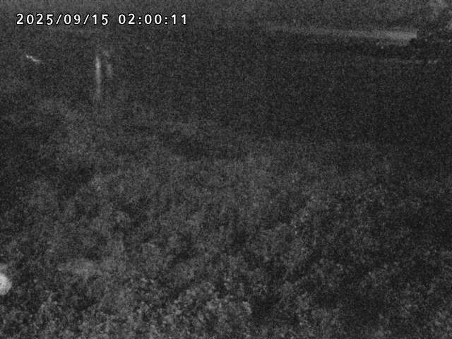 日野川２2025/09/15 13:10:00