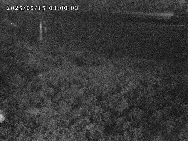 日野川２2025/09/15 13:10:00