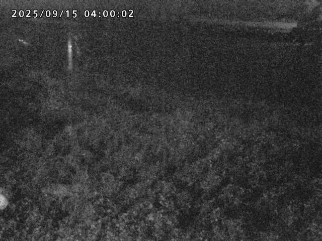 日野川２2025/09/15 13:10:00