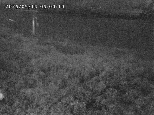 日野川２2025/09/15 13:10:00