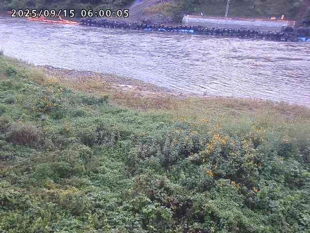 日野川２2025/09/15 13:10:00