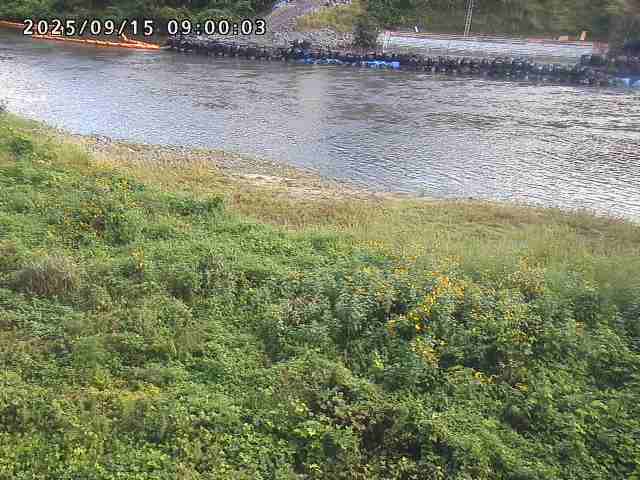 日野川２2025/09/15 13:10:00