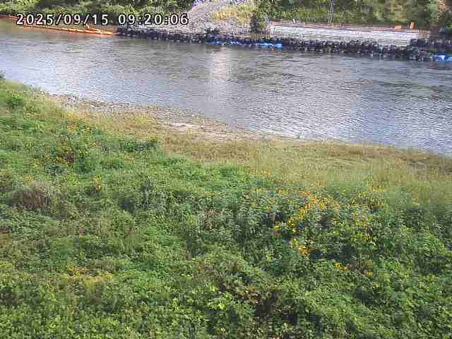 日野川２2025/09/15 13:10:00