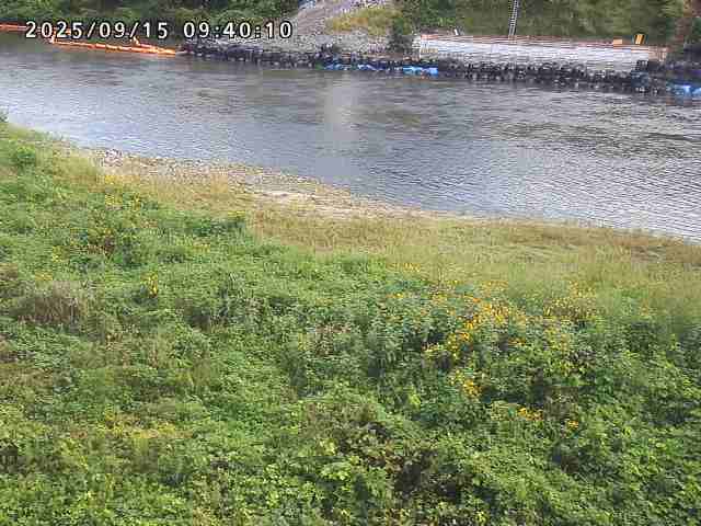 日野川２2025/09/15 13:10:00