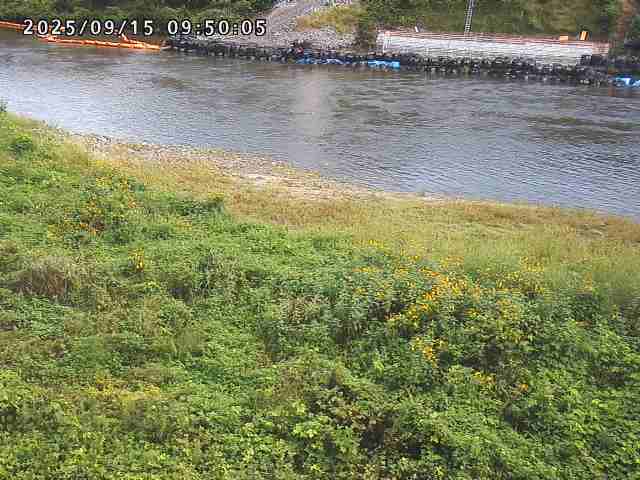 日野川２2025/09/15 13:10:00