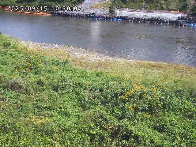 日野川２2025/09/15 13:10:00