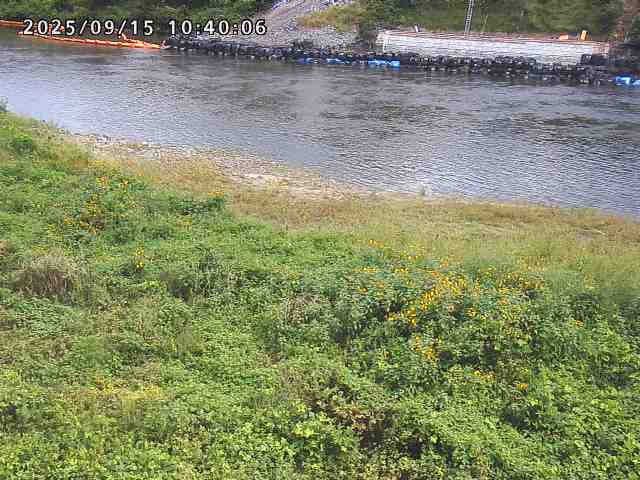 日野川２2025/09/15 13:10:00