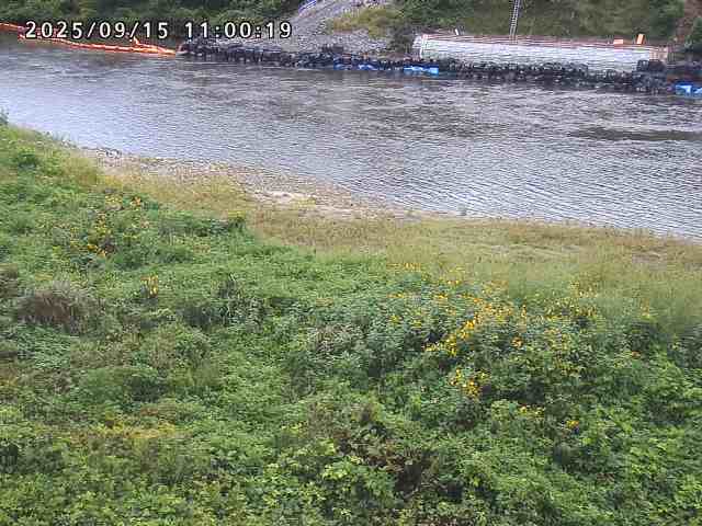 日野川２2025/09/15 13:10:00
