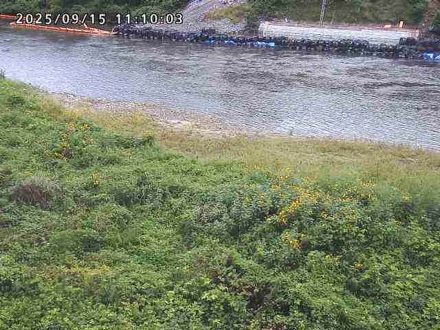 日野川２2025/09/15 13:10:00