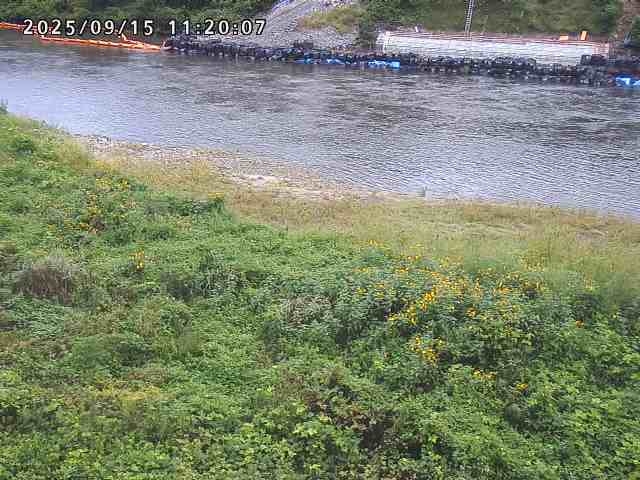 日野川２2025/09/15 13:10:00