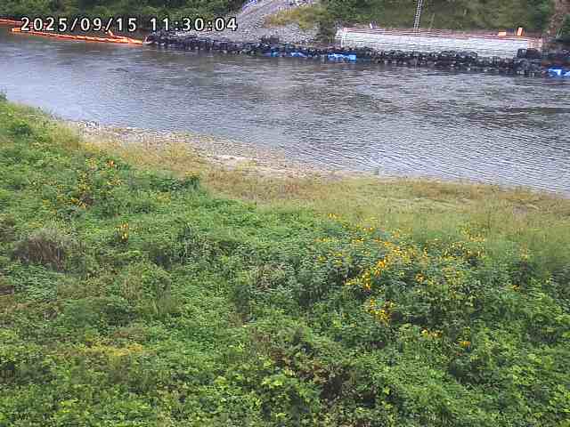 日野川２2025/09/15 13:10:00