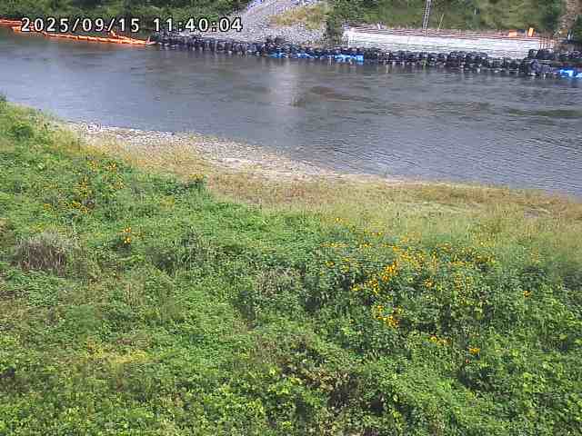 日野川２2025/09/15 13:10:00