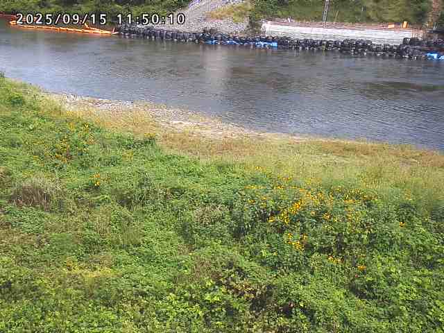 日野川２2025/09/15 13:10:00