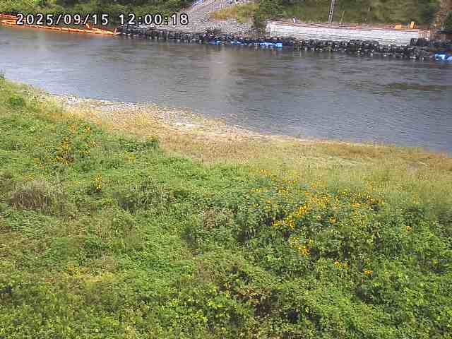 日野川２2025/09/15 13:10:00