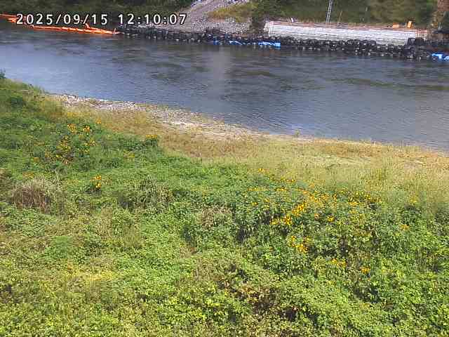日野川２2025/09/15 13:10:00