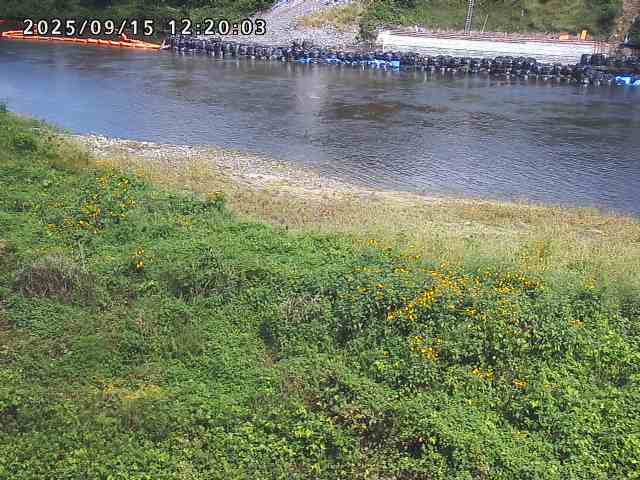 日野川２2025/09/15 13:10:00