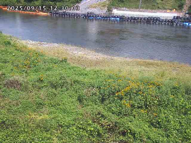 日野川２2025/09/15 13:10:00