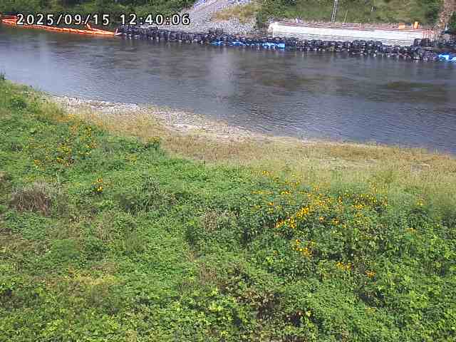 日野川２2025/09/15 13:10:00