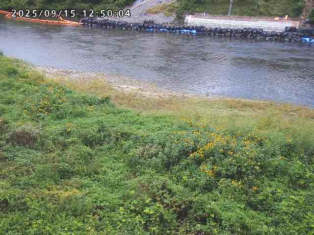 日野川２2025/09/15 13:10:00