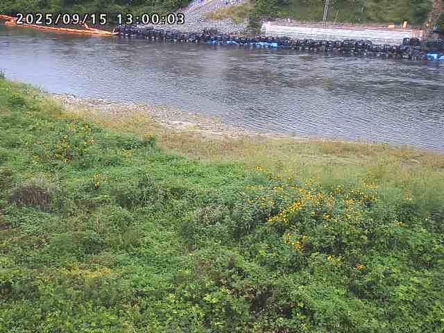 日野川２2025/09/15 13:10:00