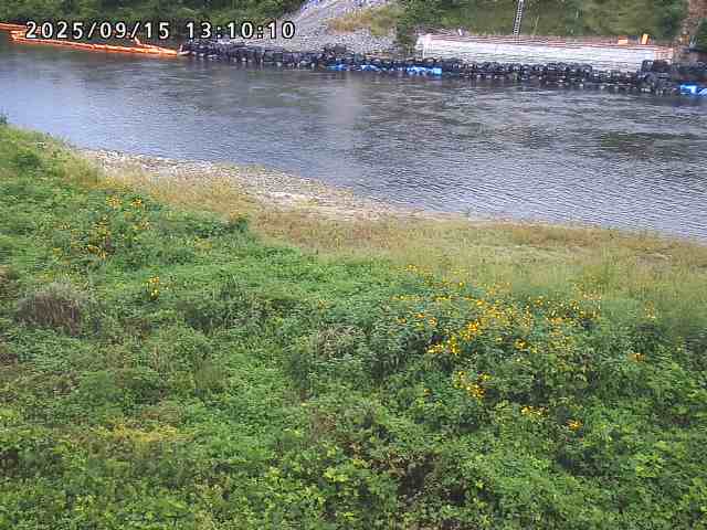日野川２2025/09/15 13:10:00