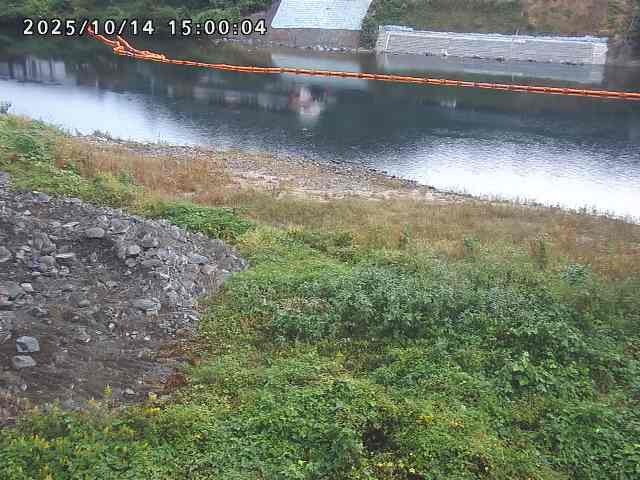日野川２2025/10/15 14:50:00