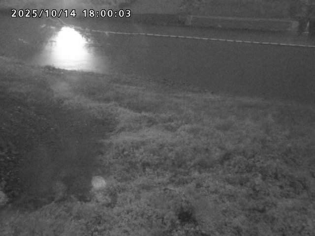 日野川２2025/10/15 14:50:00