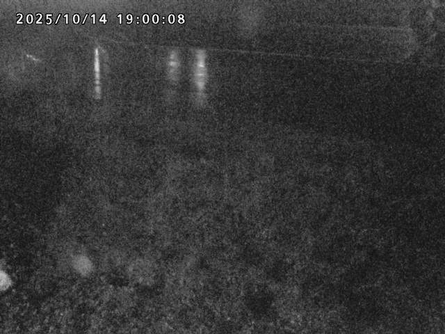 日野川２2025/10/15 14:50:00