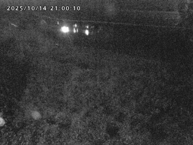 日野川２2025/10/15 14:50:00