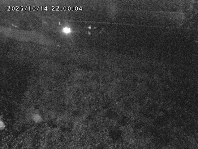 日野川２2025/10/15 14:50:00