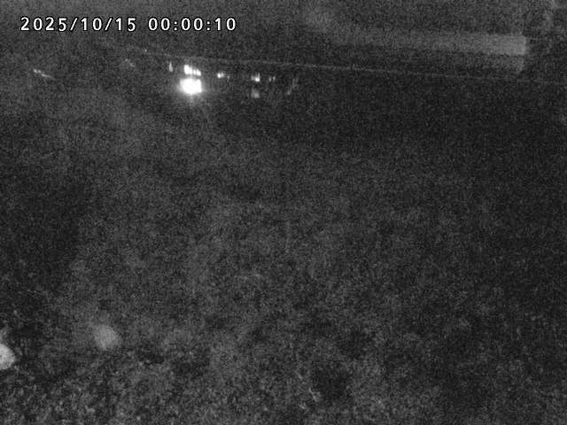 日野川２2025/10/15 14:50:00
