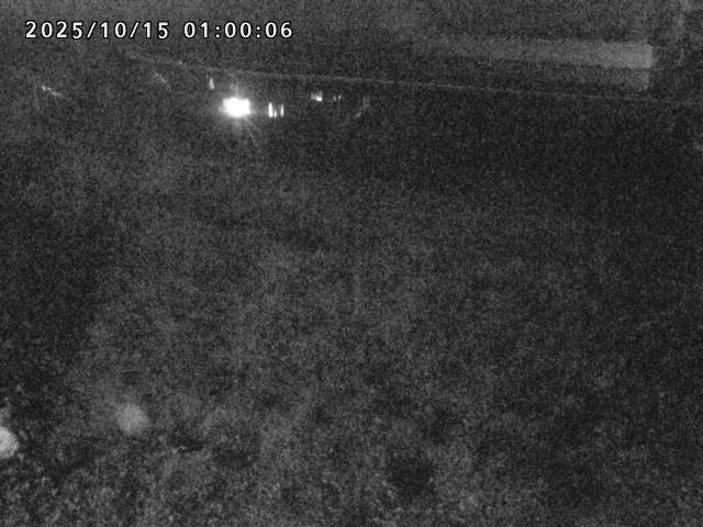 日野川２2025/10/15 14:50:00