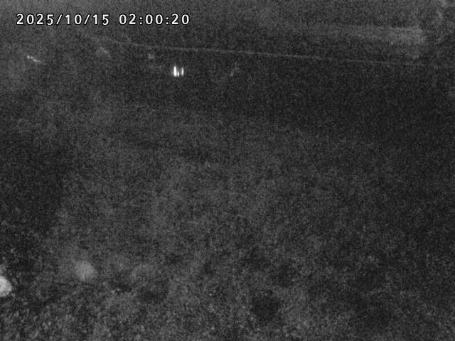 日野川２2025/10/15 14:50:00