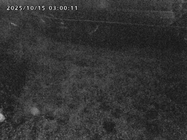 日野川２2025/10/15 14:50:00