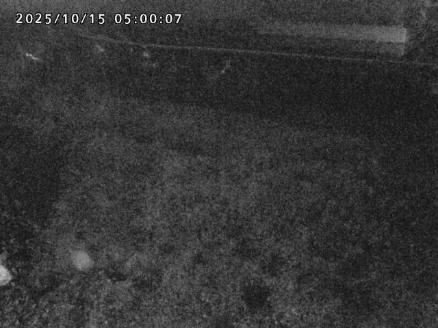 日野川２2025/10/15 14:50:00