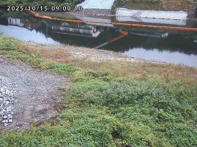 日野川２2025/10/15 14:50:00