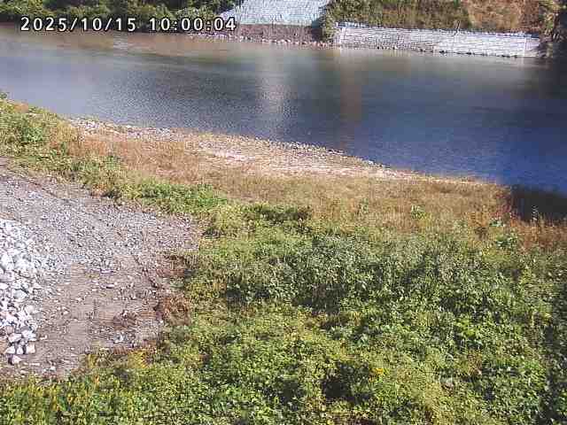 日野川２2025/10/15 14:50:00