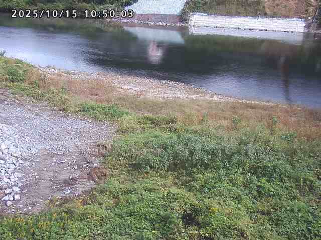 日野川２2025/10/15 14:50:00