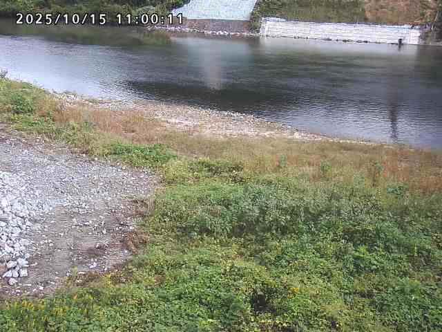 日野川２2025/10/15 14:50:00