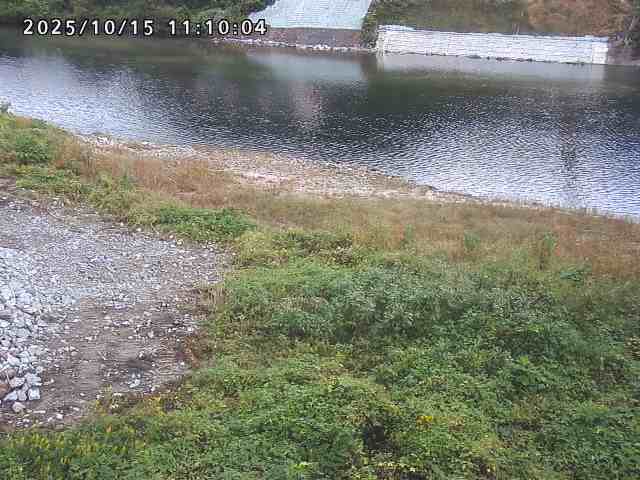日野川２2025/10/15 14:50:00