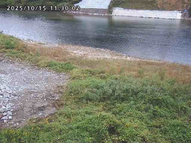 日野川２2025/10/15 14:50:00