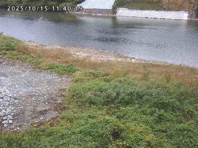 日野川２2025/10/15 14:50:00