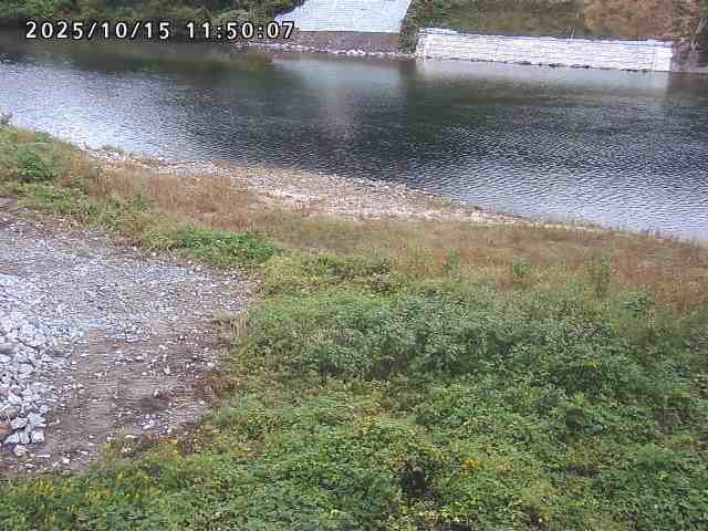 日野川２2025/10/15 14:50:00