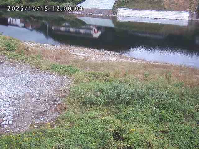 日野川２2025/10/15 14:50:00