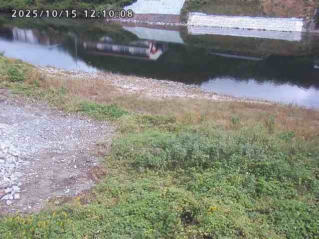 日野川２2025/10/15 14:50:00