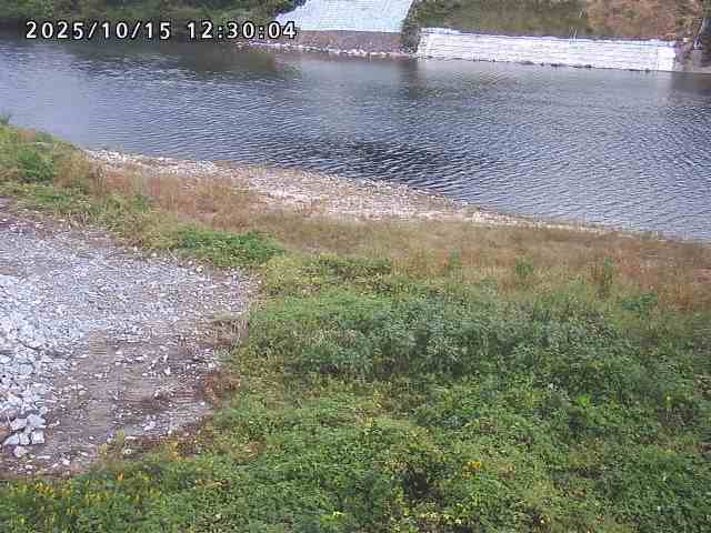 日野川２2025/10/15 14:50:00