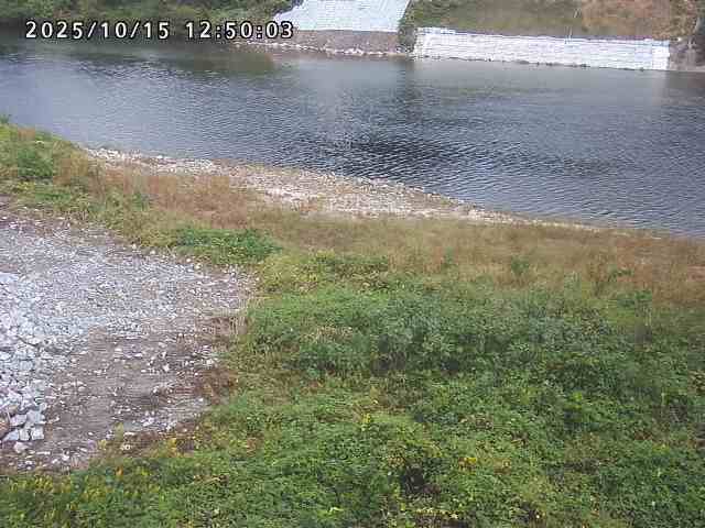 日野川２2025/10/15 14:50:00