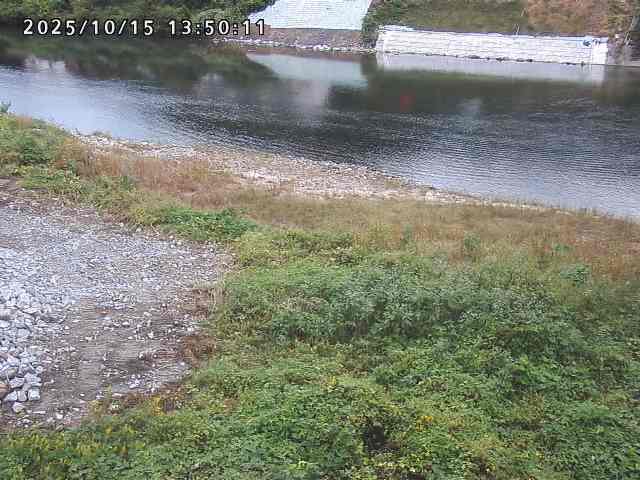 日野川２2025/10/15 14:50:00