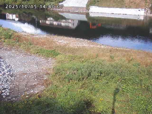 日野川２2025/10/15 14:50:00