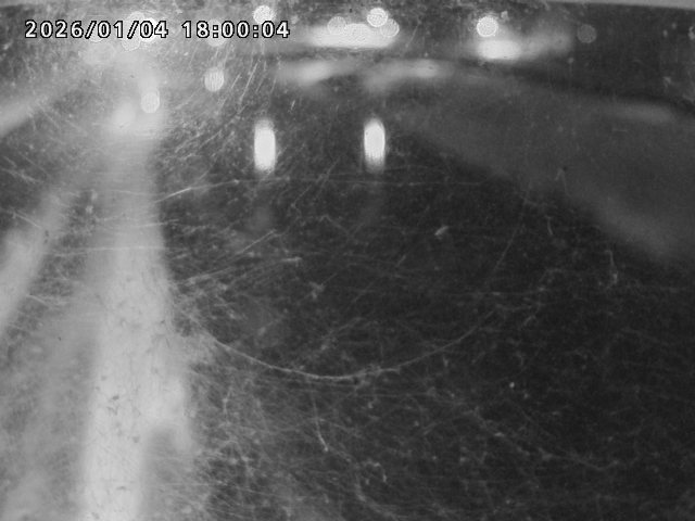 日野川４2026/01/05 10:50:00